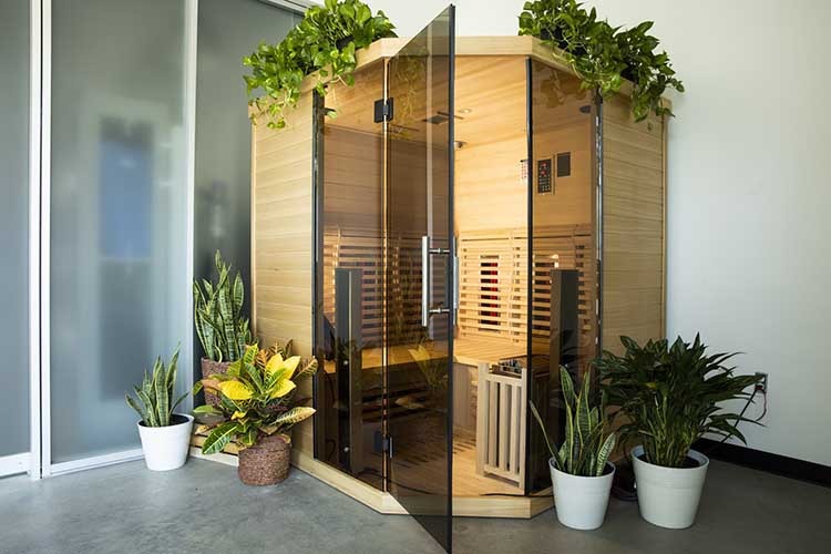sauna surrounded by indoor plants